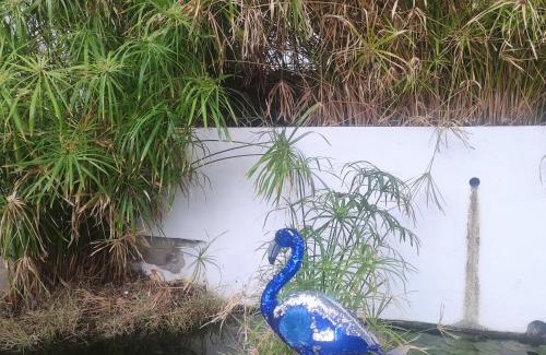 Santa Brigida Apartment | Sweet Dreams