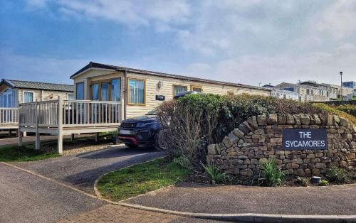 Reighton Other | SYCAMORES 15