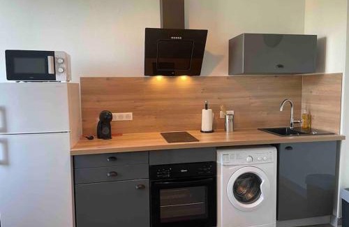 Bourges Apartment | T2 4 pers face gare SNCF Appart Hotel le Cygne 4