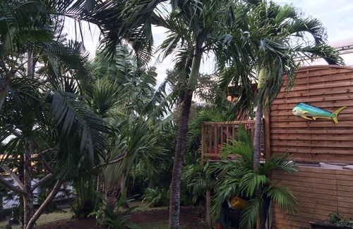 Deshaies Apartment | T2 air-conditioned DAKOTA, DESHAIES, 350m from Grande Anse beach, 2/4 people, kitchen, bathroom