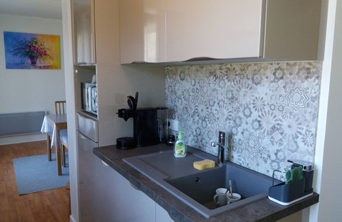 Vic-sur-Cere Apartment | T2 APARTMENT IN THE HEART OF GREEN COUNTRY