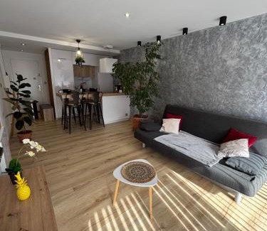 Briancon Apartment | T2 lumineux l' Edelweiss pied du Prorel avec garage privé