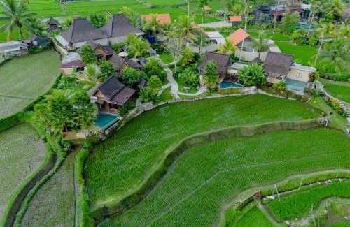 Sebatu Resort | Taksu Sebatu Villa