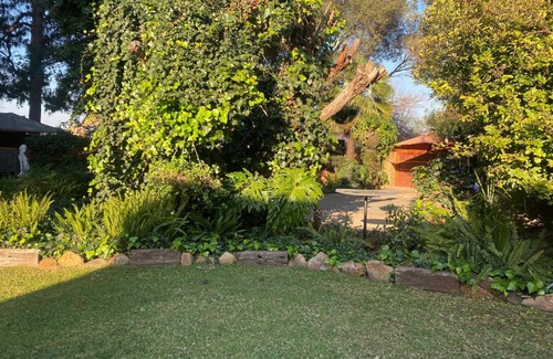 Benoni Bed & Breakfast | Tal Trees Siesta