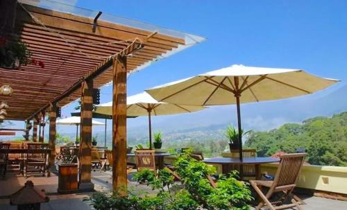 Cipanas Resort | Talita Mountain Resort