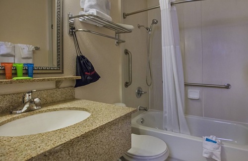 Rocky Point Condo | Tampa Bay Breezes Deal 1/1 Condo Sailport w/ all Amenities + Parking