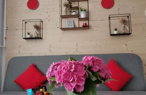 Centrul Vechi Apartment | Tampa studio