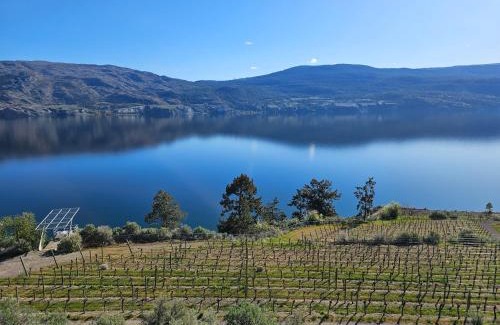 Okanagan-Similkameen House | Tangled Vines Lakeview Retreat