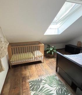 Piestany Apartment | Tanny Boho Housy na pešej zóne s 2 parkovacími miestami