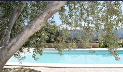 Mitogio Villa | Taormina Villa Ibiscus Alcantara