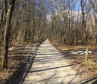 Sedico Apartment | Tati&Ele apartments