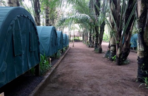 Taro RV Rental | Tegal Dukuh Camp