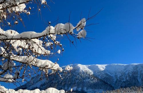 Lackenhof Apartment | Teichwies'n Alm Wilde Wunder Card