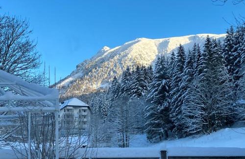 Lackenhof Apartment | Teichwies'n Alm Wilde Wunder Card