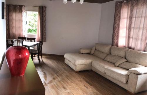 Icod de los Vinos Apartment | Teide