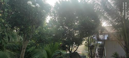 Kovalam House | Temple House