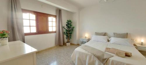 Santa Lucia Apartment | Ten Minutes From Airport - 2