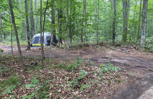 Benzonia RV Rental | Tent w/Mattresses on Private wooded camp site