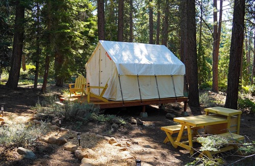 Tahoe Vista RV Rental | Tentrr Signature Site - Tahoe Vista Forest - Ceder Camp Site