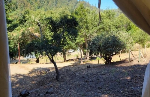 Soquel RV Rental | Tentrr Signature Site - Avocado Grove C