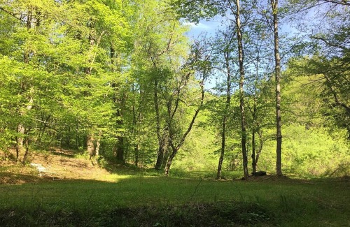 Hancock RV Rental | Tentrr Signature Site - Sands Creek Camp