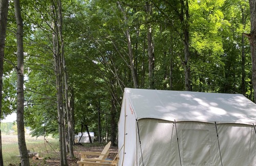 Honor RV Rental | Tentrr Signature Site - Sleeping Bear Dunes - Bobcat's Cave