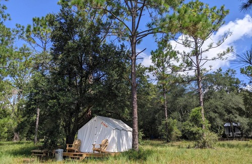 Edgar RV Rental | Tentrr Signature Site - Wind in the Pines North Florida Lake Retreat