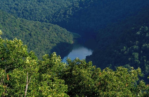 Gans RV Rental | Tentrr State Park Site - WV Coopers Rock State Park - Site C - Single Camp