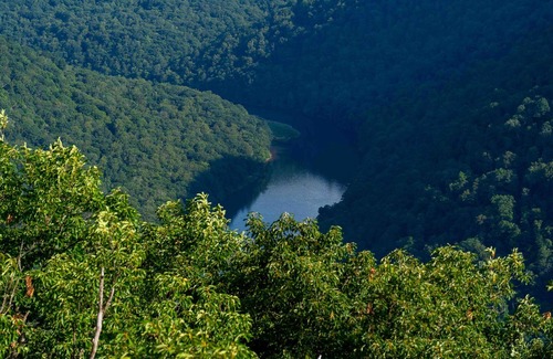 Gans RV Rental | Tentrr State Park Site - WV Coopers Rock State Park - Site E - Single Camp