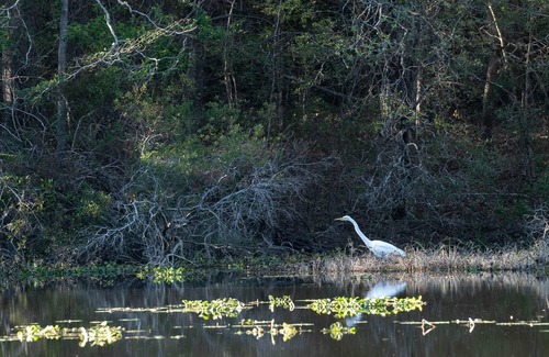McComb RV Rental | Tentrr State Park Site - Mississippi Percy Quin State Park - Southside Lakeview