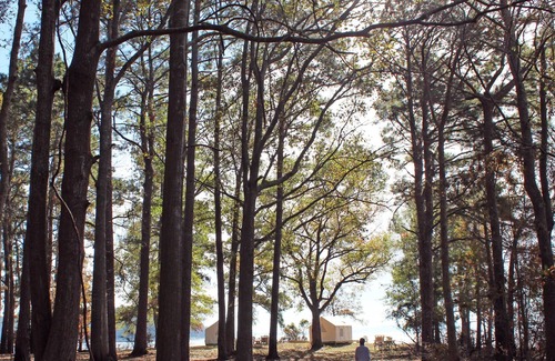 Anacoco RV Rental | Tentrr State Park Site - Louisiana South Toledo Bend State Park - Site A - Sing