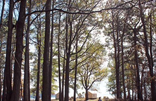 Anacoco RV Rental | Tentrr State Park Site - Louisiana South Toledo Bend State Park - Site C - Sing