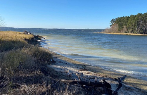Anacoco RV Rental | Tentrr State Park Site - Louisiana South Toledo Bend State Park - Site D - Sin