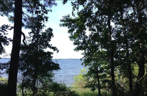 Anacoco RV Rental | Tentrr State Park Site - Louisiana South Toledo Bend State Park - Site D - Sin
