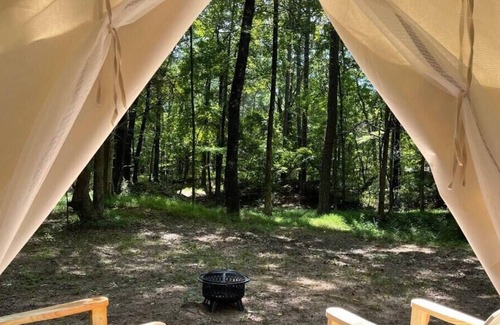 Holly Springs RV Rental | Tentrr State Park Site - Mississippi Wall Doxey State Park - Woodland F - Single