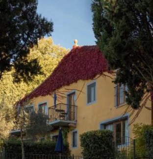 Sassetta House | Tenuta La Bandita