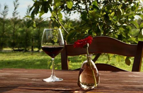 Caorle Hotel | Tenuta Tommasi - Relais Bacco