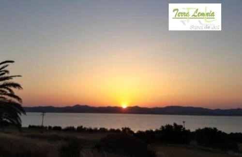 Moudros House | TERRA LEMNIA