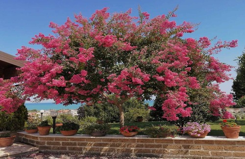 Tortoreto Apartment | Terra Madre Residence: sea view-garden-air conditioning-wifi internet