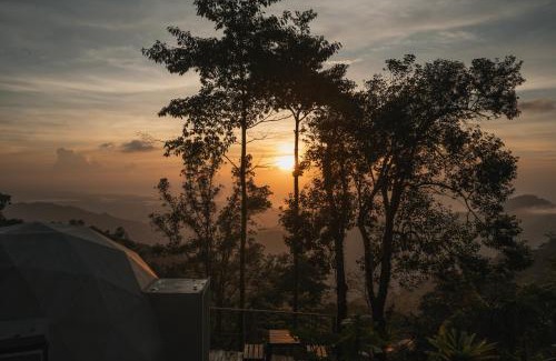 Papare Cabin | Terramia Estate