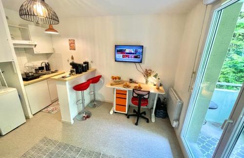 Rangueil-Sauzelong-Pech David-Pouvourville Apartment | " Terrasse Téléo " Hôpital Rangueil - Pech David