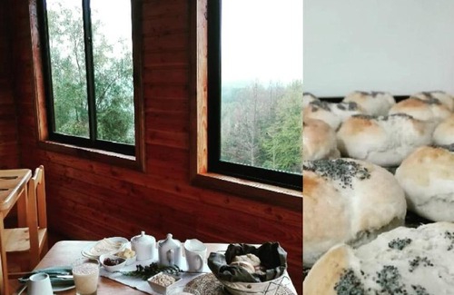 Puerto Raul Marin Balmaceda Apartment | Terrazas del Palena