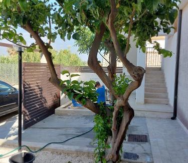 Punta Secca House | Terrazzo il Limone