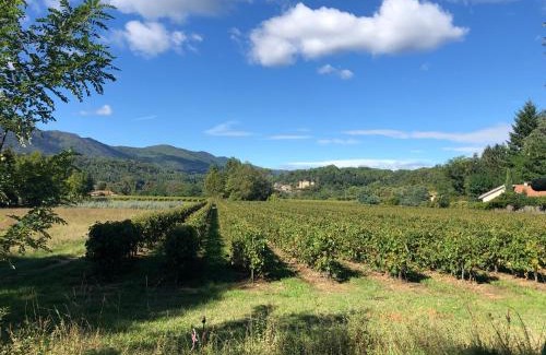 Chambonas Resort | Terres de France - Le Domaine des Vans