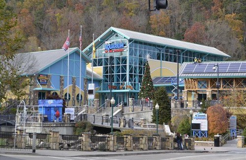 Gatlinburg - Pigeon Forge House | Terri's Treasure