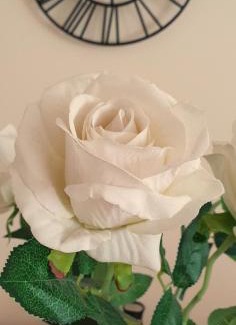 Staines House | Thames Accommodation