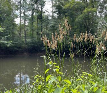 Logan House | The 312 House - A Boho Retreat- Hocking Hills
