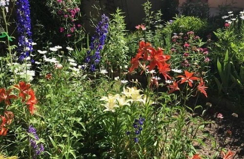 Taos House | The 5 Star Compound is a Beautiful Secluded Property in Taos NM