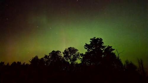 Harris House | The Alderwood Lodge