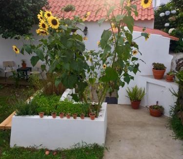 Angra do Heroismo House | The Azores Homestead - Terceira